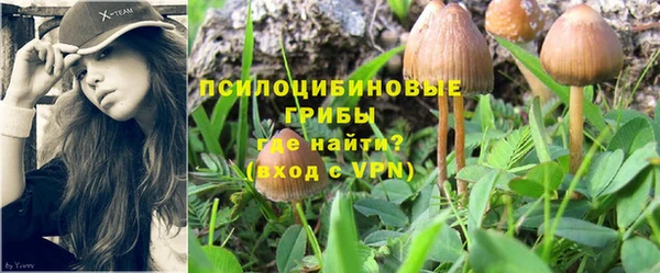 MDMA Premium VHQ Белоозёрский