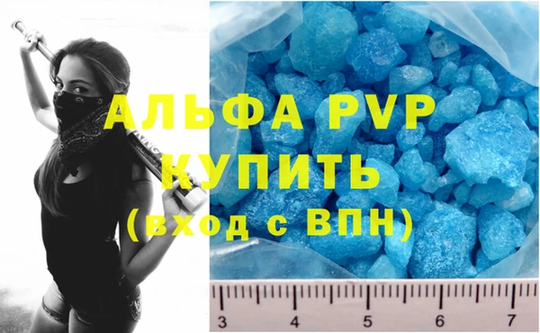 мяу мяу кристалл Богданович