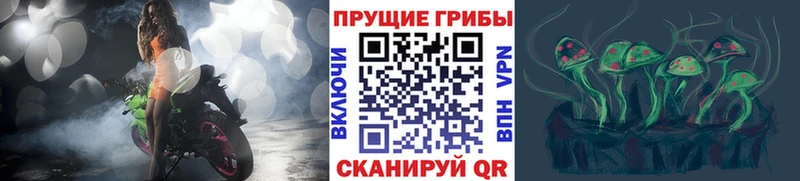 Купить закладки  Алупка  Псилоцибиновые грибы Psilocybine cubensis 